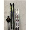 Image 2 : Salomon / Fischer Skis & One set of Poles as Pictured