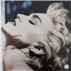 Image 1 : Madonna signed True Blue album