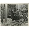 Image 1 : Clark Gable signed photo