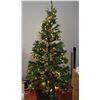 Image 1 : GLUCKSTEIN HOME 7 FT ROSSEAU TREE