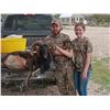 Image 14 : HUNT UNLIMITED HOGS IN TEXAS