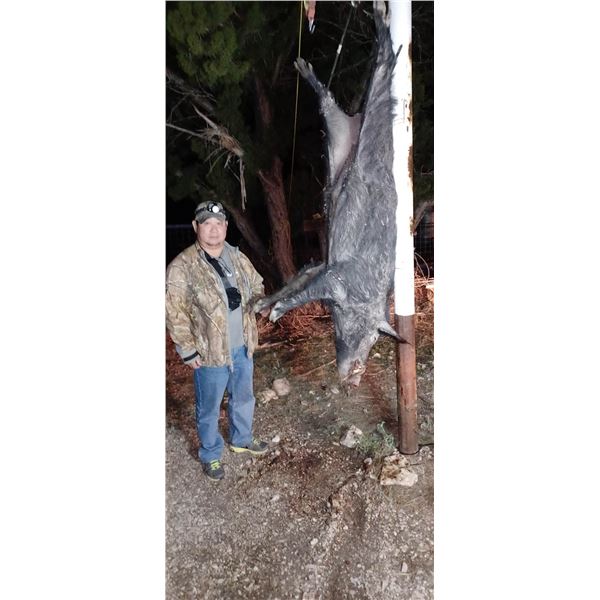 HUNT UNLIMITED HOGS IN TEXAS