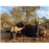 Image 1 : CAPE BUFFALO HUNT IN SOUTH AFRICA WITH STEFAN JOUBERT SAFARIS