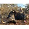 Image 2 : CAPE BUFFALO HUNT IN SOUTH AFRICA WITH STEFAN JOUBERT SAFARIS
