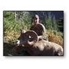 Image 2 : ALL INCLUSIVE ALBERTA BIGHORN SHEEP HUNT - 100% SUCCESS RATE FOR WINNERS OF OUR AUCTION!