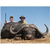 Image 1 : 7 DAY CAPE BUFFALO HUNT FOR ONE HUNTER WITH RESTLESS AFRICA SAFARIS