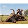 Image 2 : 7 DAY CAPE BUFFALO HUNT FOR ONE HUNTER WITH RESTLESS AFRICA SAFARIS