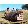 Image 5 : 7 DAY CAPE BUFFALO HUNT FOR ONE HUNTER WITH RESTLESS AFRICA SAFARIS