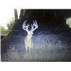 Image 3 : 2-PERSON WHITETAIL HUNT IN CENTRAL MISSOURI WITH SAFARI UNLIMITED LLC
