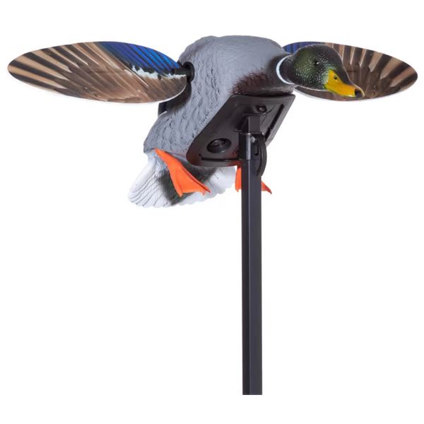 Mojo Outdoors Mallard Duck Package