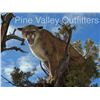 Image 2 : 5 Day Montain Lion hunt for 1 hunter with Pine Valley Outfitters.