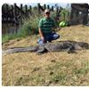 Image 1 : 1 Day Gator Hunt for 1 hunter 1 observer in Louisiana with Alligator Solution Gator Hunts
