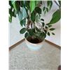 Image 2 : Silk Plant 6ft Designer Clay Pot