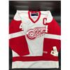 Image 1 : TED LINDSAY SIGNED DETROIT RED WINGS CCM JERSEY