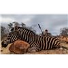 Image 4 : Five Day South Africa Hunt for Two People with Bennie Osmers Hunting Safaris – Includes Trophy Fees 