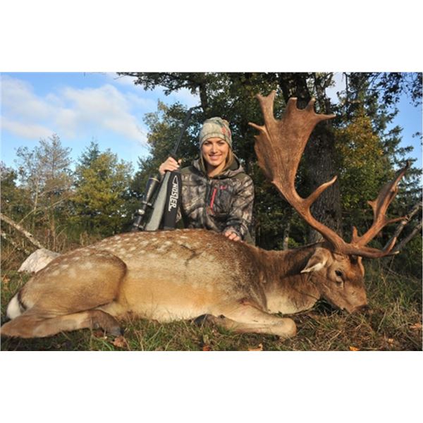 Three-Day Hunt in the South of France