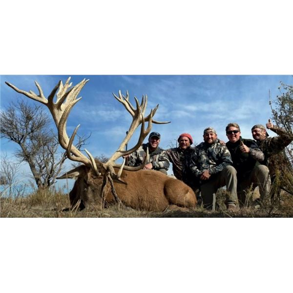 Argentina Red Stag Hunt for Two Hunters