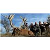 Image 1 : Argentina Red Stag Hunt for Two Hunters