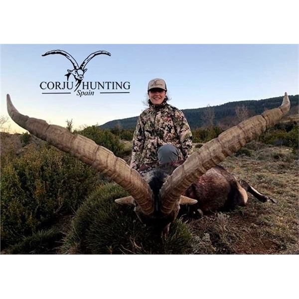 Three-Day Beceite Ibex Hunt in Spain for up to Three Hunters