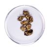 Image 1 : Lot of Gold Nuggets 3.82 Grams Total Weight