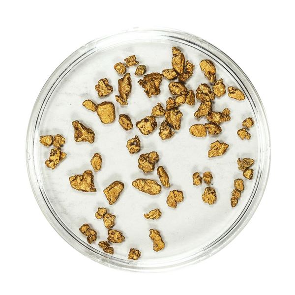 Lot of Gold Nuggets 3.06 Grams Total Weight