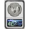 Image 2 : 1994-P $1 Proof American Silver Eagle Coin NGC PF69 Ultra Cameo