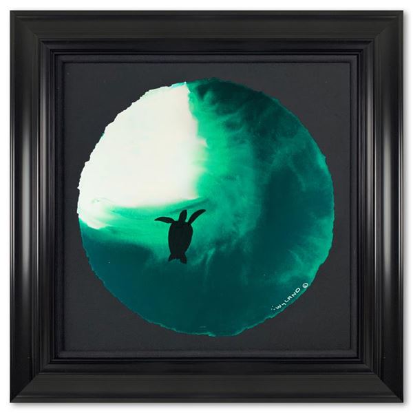 Swim to the light by Wyland Original