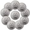 Image 1 : Lot of (10) Canadian Silver Maple Leaf's