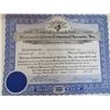 Image 1 : Morrison Cafeteria Stock Certificate