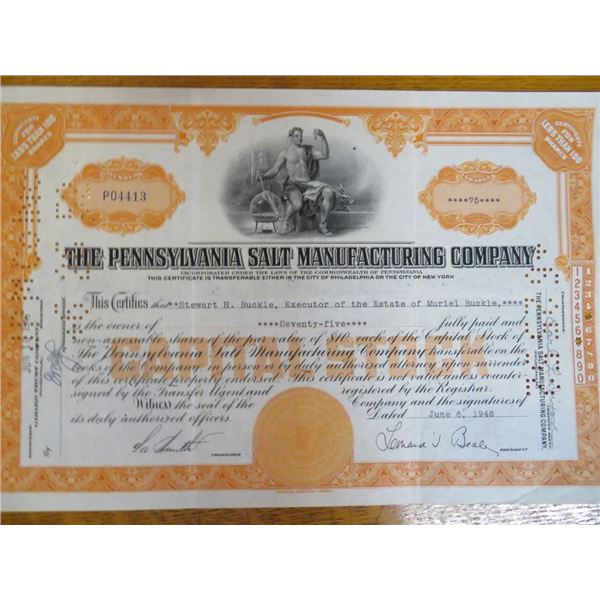 Pennsylvania Salt Stock Certificate