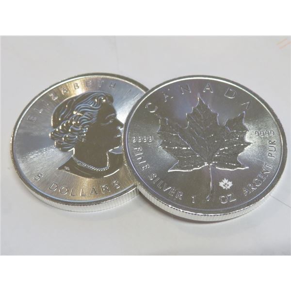 1 oz Silver Maple Leaf Bullion Round Random Date