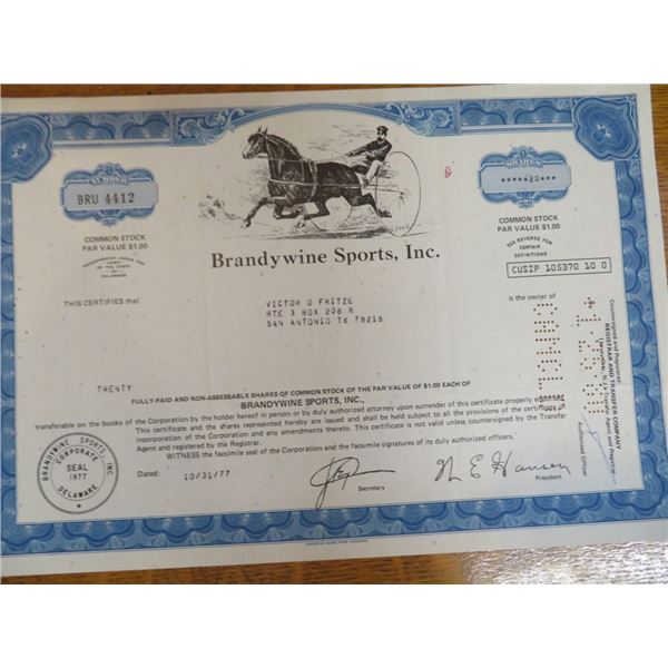 Cool Artwork Brandywine Stock Certificate