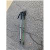 Image 1 : Walking sticks