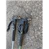 Image 2 : Walking sticks