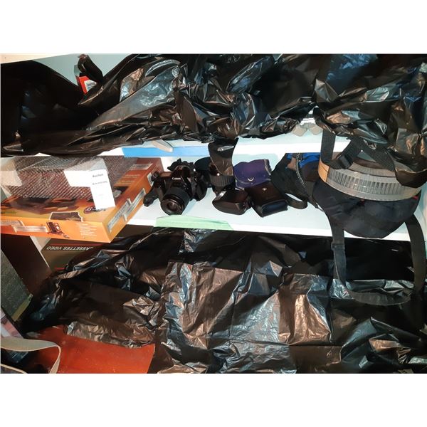 Canon Rebel and More Cat B