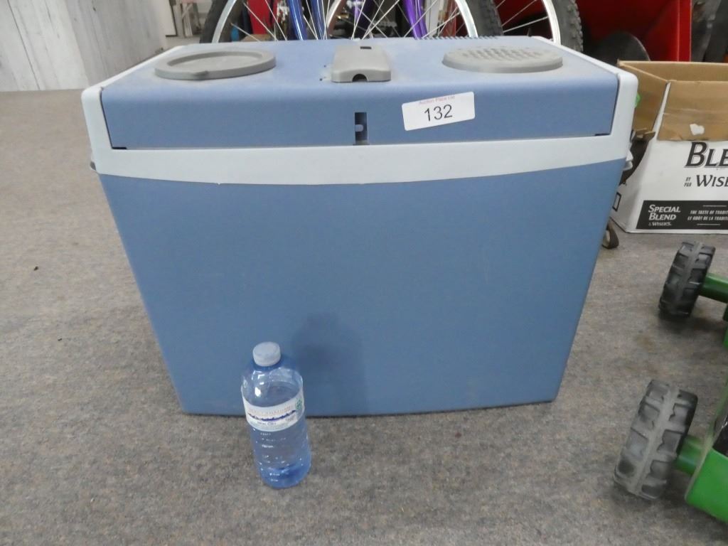 hot/cold plug-in cooler