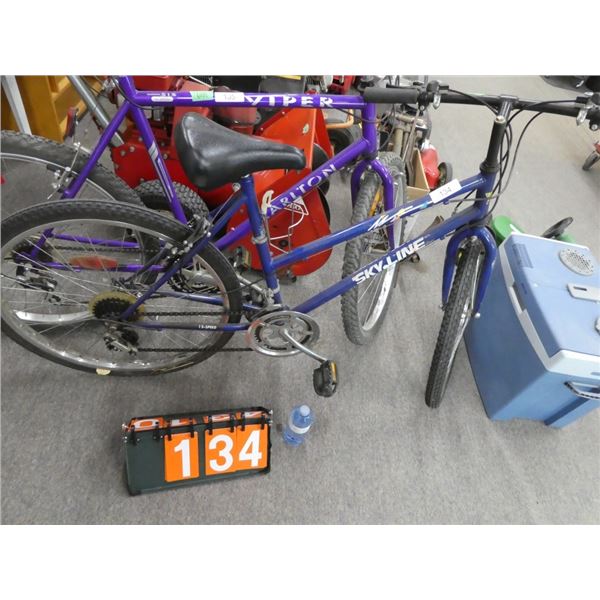 Skyline ladies bicycle