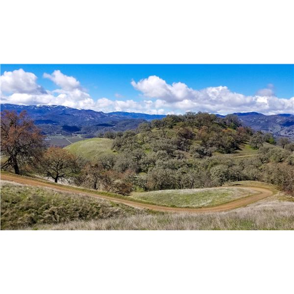 Unguided Hunt for Blacktail Bucks