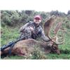 Image 1 : NEW ZEALAND - 5 DAY 2X1 RED STAG & FALLOW STAG HUNT FOR 2 HUNTERS: