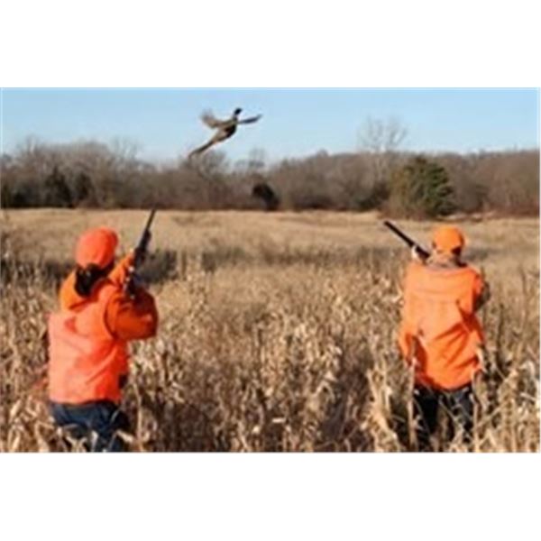 PA Guided Pheasant Hunt for 2-3 Hunters