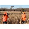 Image 1 : PA Guided Pheasant Hunt for 2-3 Hunters