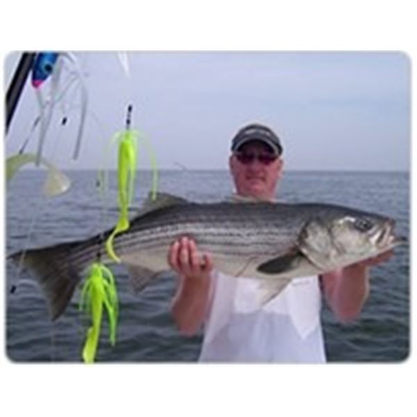 1 Day Cast and Blast for 6 People for Sea Ducks, Divers and Stripers