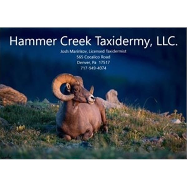 $1500 Toward Taxidermy, Hammer Creek Taxidermy