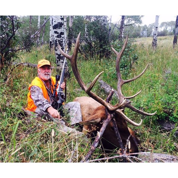 5 Day Colorado Elk Hunt for 1 Hunter, Hunt Date: Oct. 30th thru Nov. 3rd
