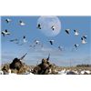 Image 3 : 1 Day Maryland/Delaware Snow Goose Hunt for 3 Hunters