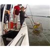 Image 2 : 1 Day Crabbing and Sightseeing on the Chesapeake Bay for up to 6 People