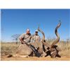 Image 1 : 12 Day All-inclusive Africa Hunt for 1 Hunter Incl. 1 Greater Kudu, 1 Eland, 1 Nyala, 1 Bushbuck