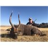 Image 3 : 12 Day All-inclusive Africa Hunt for 1 Hunter Incl. 1 Greater Kudu, 1 Eland, 1 Nyala, 1 Bushbuck