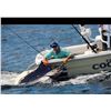 Image 3 : 4 Day Costa Rica Adventure for 4 People, Includes 2 Days of World Class Sport Fishing