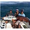 Image 6 : 4 Day Costa Rica Adventure for 4 People, Includes 2 Days of World Class Sport Fishing